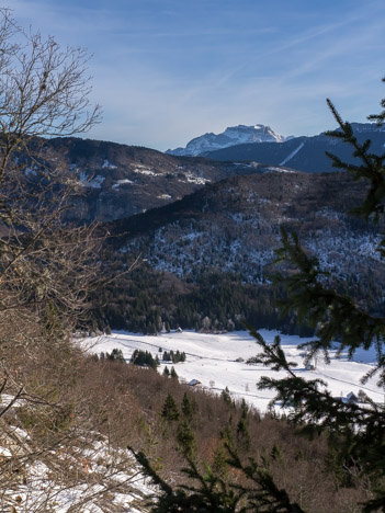 L'Alpage de Mariet-dessous