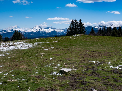 À travers l'alpage du Mont Revard