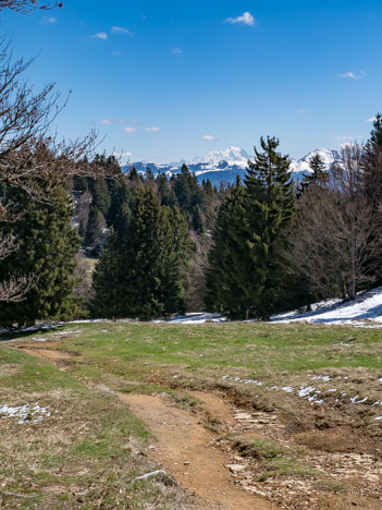 À travers l'alpage du Mont Revard