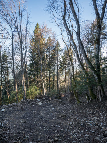 Sur le sentier du Golet de la Pierre