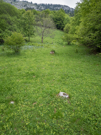 La Prairie des Esserts