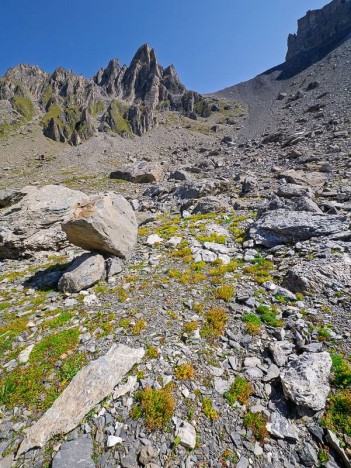 L'Aiguille du Grand Fond
