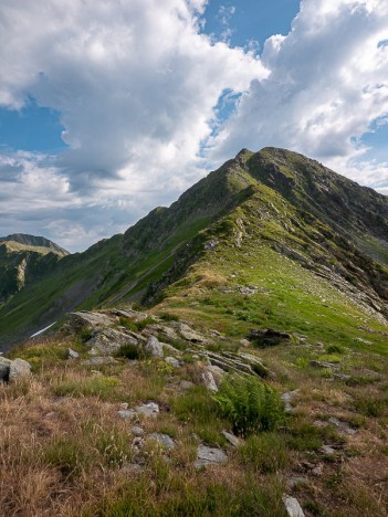 La Pointe de la Grande Journée 2460 m