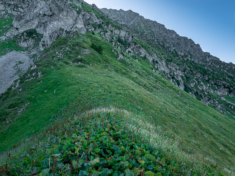 Passage depuis la crête