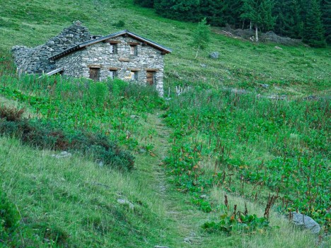 Le Chalet de l'Aup Bernard et son paravalanche