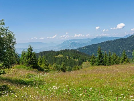Les prairies du Praillet