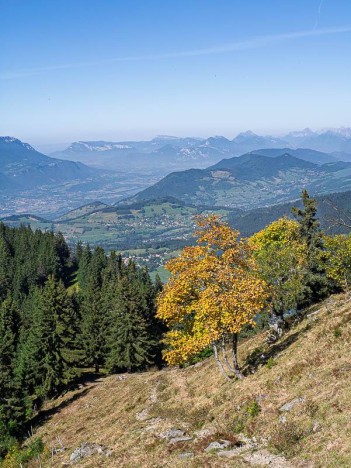 Couleur d'automne sur la Montagne de Barlet