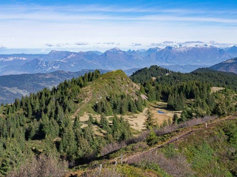 Le Crêt Luisard, premier plan des Bauges