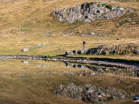 Reflets dans le Lac des Balmettes, sept. 2019