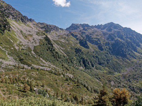 Le Fort et les Grands Moulins