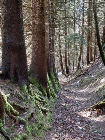 Chemin du Manchet