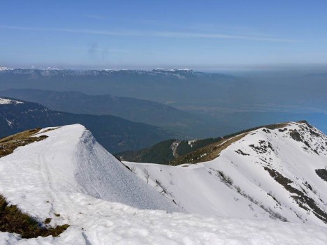 Sur la crête de la Montagne d'Arvillard, la Chartreuse à l'horizon