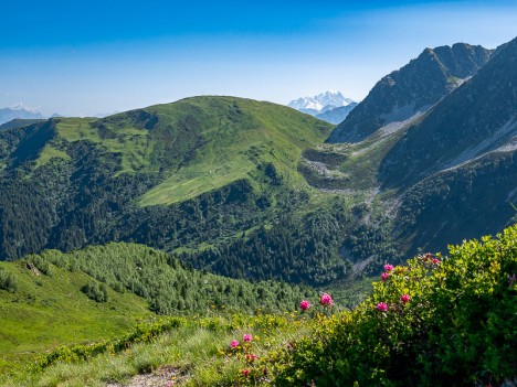 Le Mont Blanc derrière le Col de la Perche