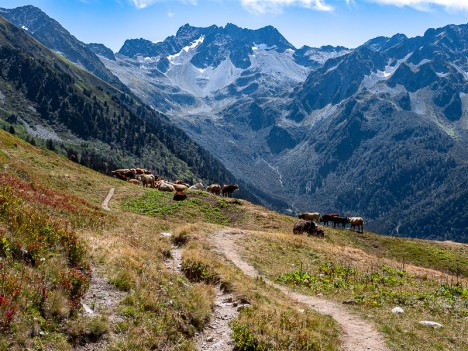 belledonne-perriere, pic-frene-vaches.jpg, août 2020