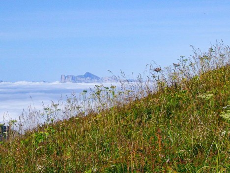 Le Vercors, les Deux Sœurs et la Grande Moucherolle