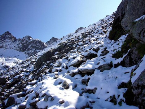 Première neige