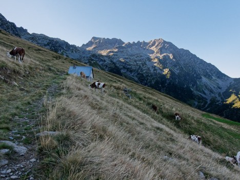 Le Refuge des Plattières