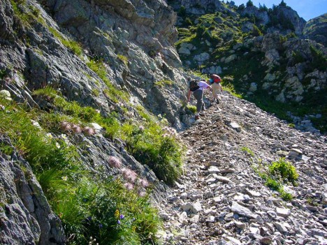 Remontée du Grand Canal