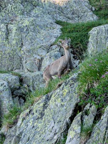 Une étagne solitaire en rive gauche de la Combe de la Croix