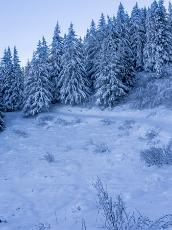 Chemin du Col du Champet