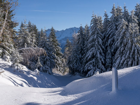 Col du Champet