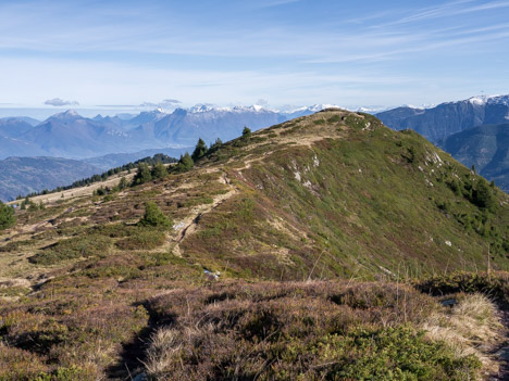 Les Bauges depuis le Grand Rocher