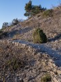 Chemin en remblai à travers la Gardiole