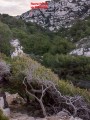 La Roche Percée de la Mounine depuis le sentier des douaniers