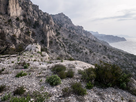 La Tête de la Mélette