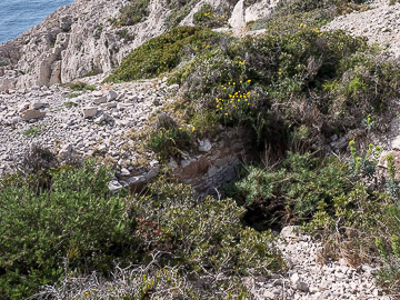 Vestige de Saint-Pierre