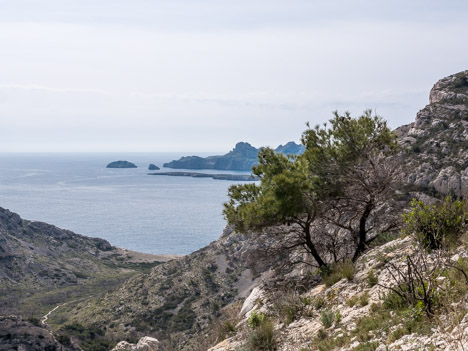 Île de Riou et Plan des Cailles