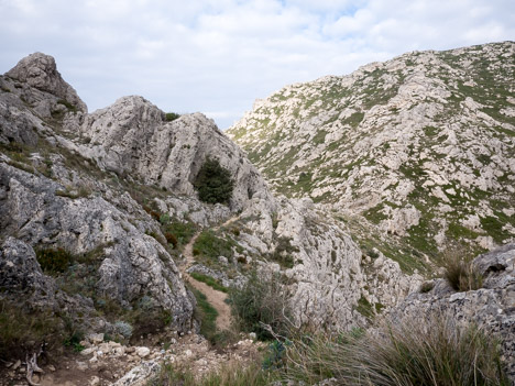 Sentier du Col Sabatier