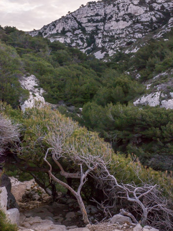 La Roche Percée de la Mounine depuis le sentier des douaniers