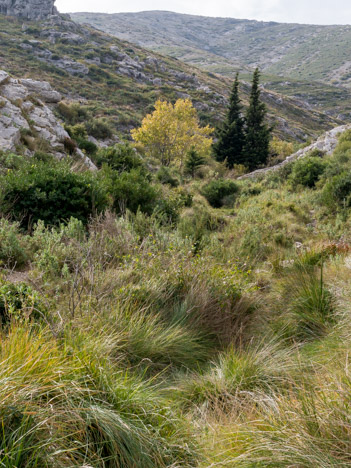 La Source des Eaux Vives