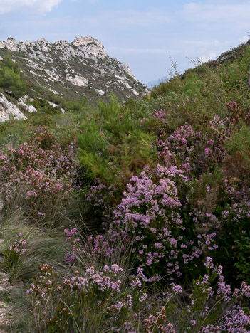 Bruyère, Vallon de la Barasse