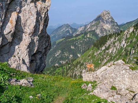 Une jeune étagne au Col de Sevan