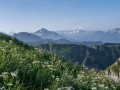 Mont de Grange, le Mont Blanc au loin