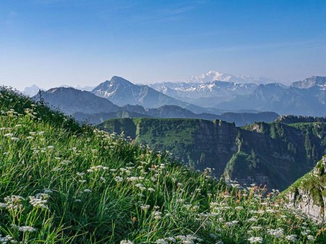 Mont de Grange, le Mont Blanc au loin