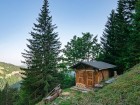 Un petit chalet domine Bramaturtaz