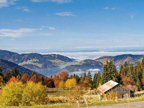 Les Chalets de la Butille