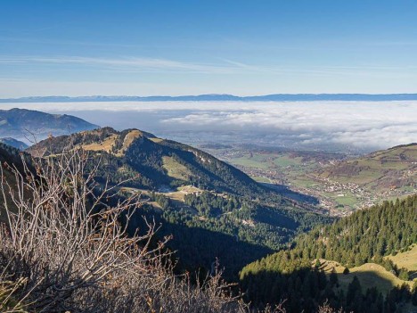 La vallée de Bernex