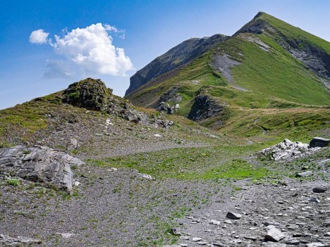 Au Col des Chalettes, vers l'Est