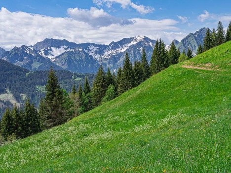 Le Roc de Tavaneuse (au centre)