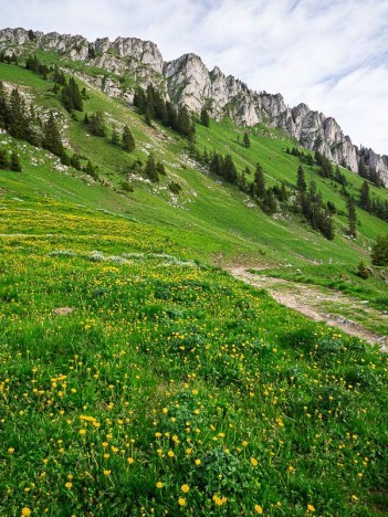 Versant SW du Mont Ouzon