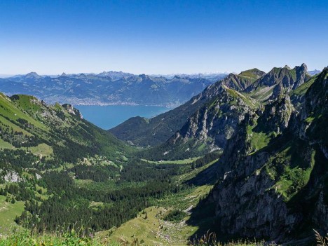 Le Lac Léman et le Mont Gardy depuis le Col de Planchamp