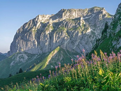 Au Col du Serpentin, les Cornettes de Bise