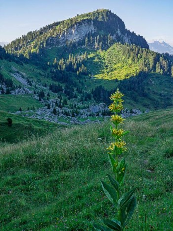 Le Col de Cordon et la Pointe de Rovagne