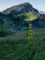 Le Col de Cordon et la Pointe de Rovagne