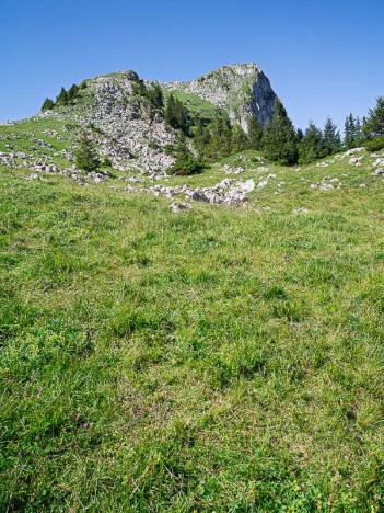 Le versant Sud de la Haute Pointe