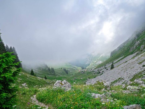 Vallon de Darbon